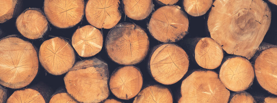 holzstapel holzstapel