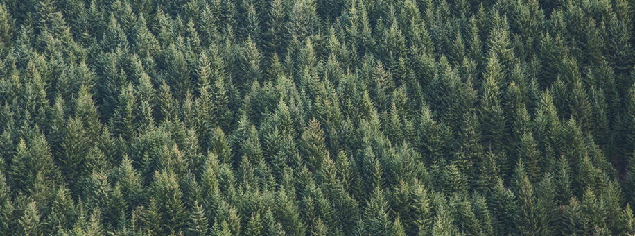 Heimisches Holz Heimisches Holz